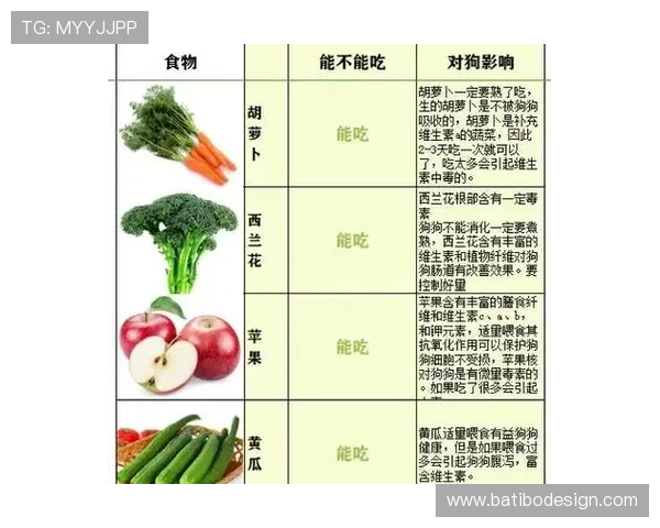 最大的菠菜平台有哪些值得信赖的选择和详细介绍